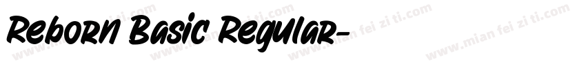 Reborn Basic Regular字体转换